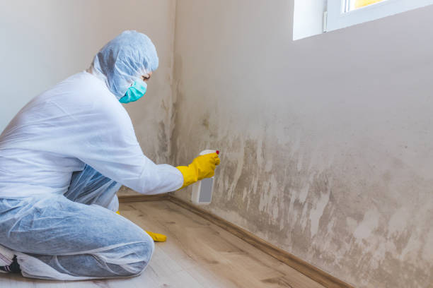 Hvac And Air Duct Mold Remediation inspection of HVAC system in Lyons